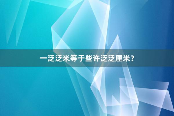一泛泛米等于些许泛泛厘米？