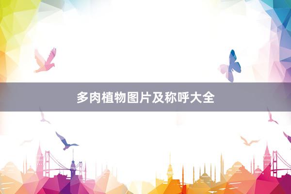 多肉植物图片及称呼大全