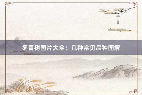 冬青树图片大全：几种常见品种图解